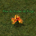 Flor do Poder do Fogo