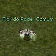 Flor do Poder Comum