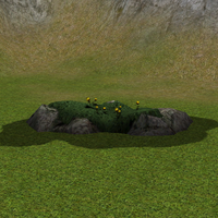 Flor-Rocha.png