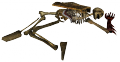 Esqueleto de Sura 4.png